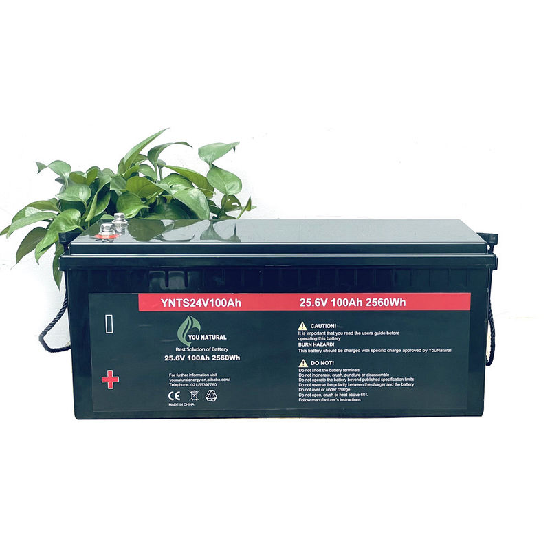 los ciclos de la batería 3000 de 24V LiFePo4 completan un ciclo de largo el litio recargable Ion Batteries de la vida 2560wh 100ah